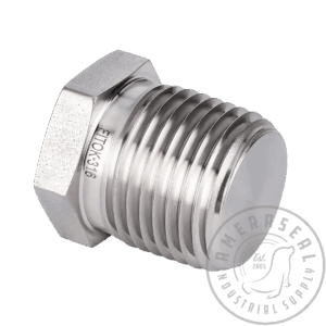 Heavy Hex Head Plugs – 316 Stainless Steel 3000#